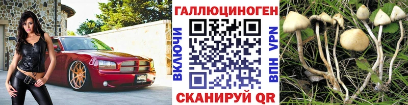 Галлюциногенные грибы Psilocybe  Менделеевск 